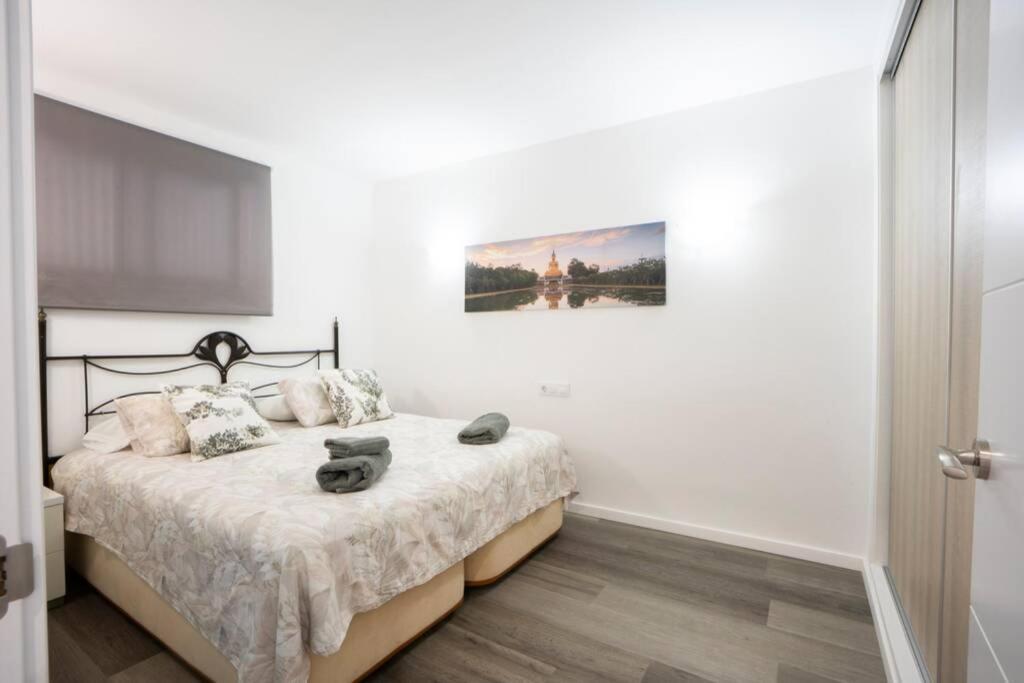 Apartment Modern Penthouse Beach Front Apartment *